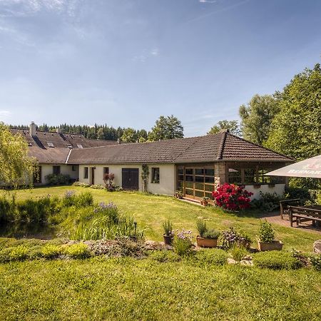 Penzion U Dracice Hotel Nova Bystrice Exterior photo