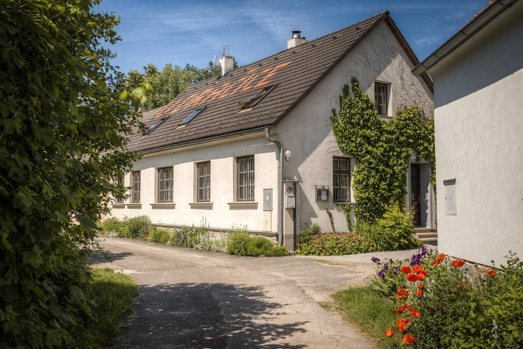 Penzion U Dracice Hotel Nova Bystrice Exterior photo